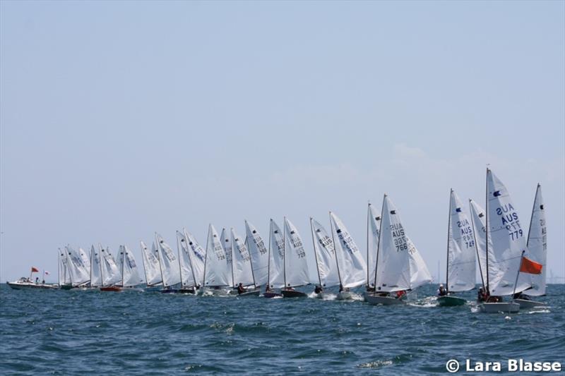 40 OK Dinghies on the start line at Black Rock - Australian OK Dinghy Nationals photo copyright Lara Blasse taken at  and featuring the OK class