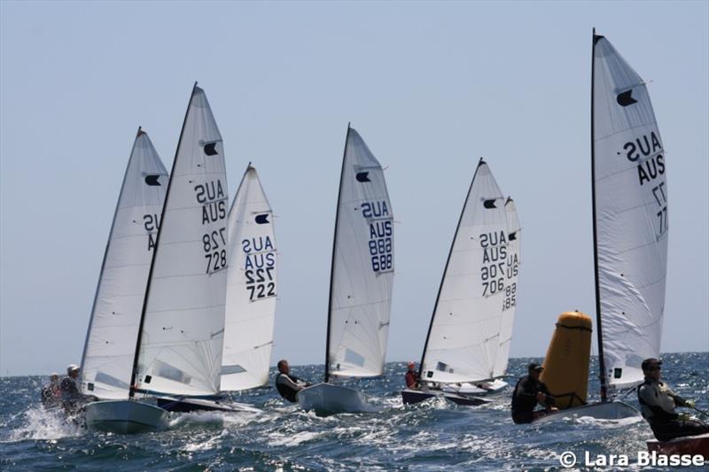 Australian OK Dinghy Nationals - Day 3 photo copyright Lara Blasse taken at  and featuring the OK class