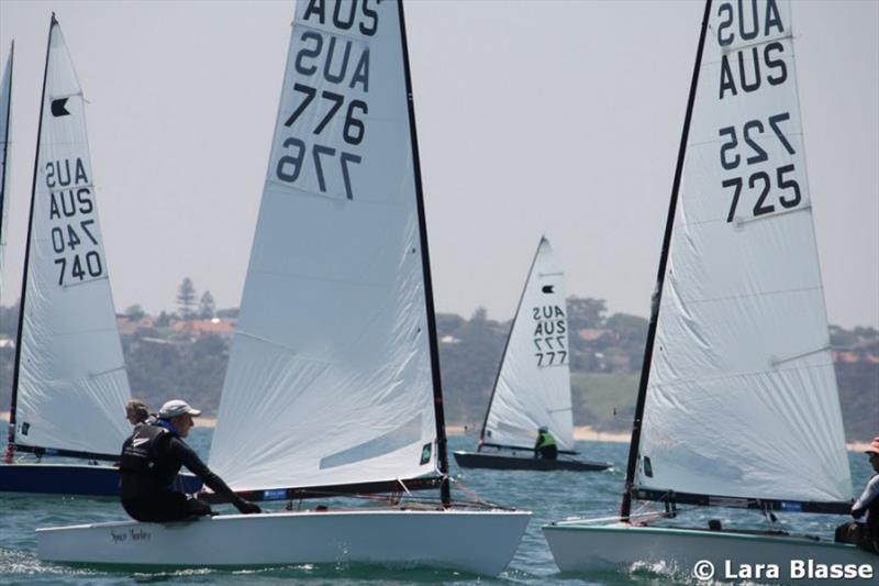 Grant Wakefield crosses David Ketteridge - Australian OK Dinghy Nationals, Final Day photo copyright Lara Blasse taken at  and featuring the OK class