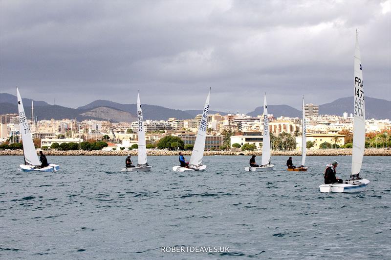 OK Dinghy training Camp in Palma in December photo copyright Robert Deaves taken at  and featuring the OK class