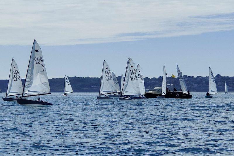 Allen Brothers OK class British National Championships at Royal Torbay - photo © Paul Childs