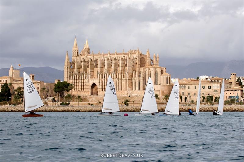 OK fleet in Palma photo copyright Robert Deaves taken at Real Club Náutico de Palma and featuring the OK class