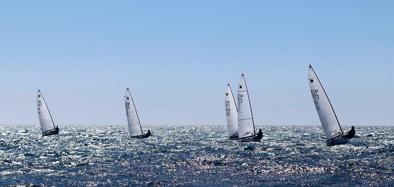 Palma OK Dinghy Fleet photo copyright Robert Deaves taken at Real Club Náutico de Palma and featuring the OK class