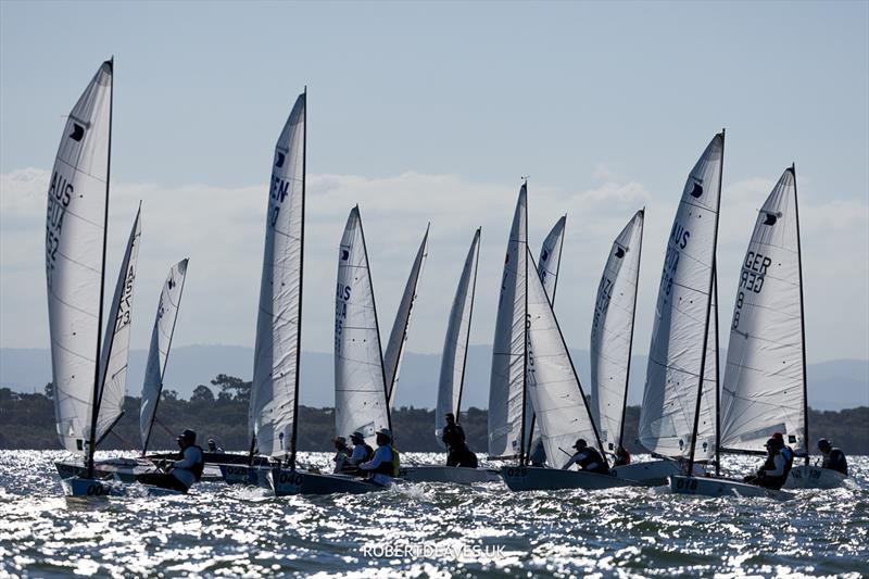 Race 8 on day 4 of the 2024 OK Dinghy World Championship Brisbane photo copyright Robert Deaves / www.robertdeaves.uk taken at Royal Queensland Yacht Squadron and featuring the OK class
