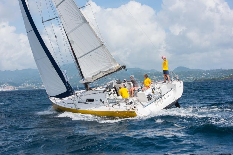 Yves and Isabelle Haudiquet's French Pogo 40, Bingo crosses the finish line in Grenada photo copyright Arthur Daniel & Orlando K Romain / RORC taken at  and featuring the Open 40 class