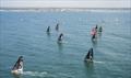 &copy; Eloi Stichelbaut - polaRYSE/ NEFSEA / SAEM Vendée