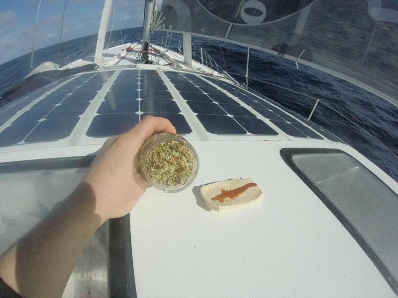 Conrad Colman shows his diet of onboard cress and liferaft biscuits, with a splash of sauce photo copyright Conrad Colman / Foresight Energy / Vendée Globe taken at  and featuring the IMOCA class