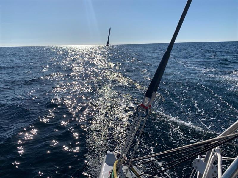 Bermudes 1000 Race photo copyright Boris Herrmann taken at  and featuring the IMOCA class