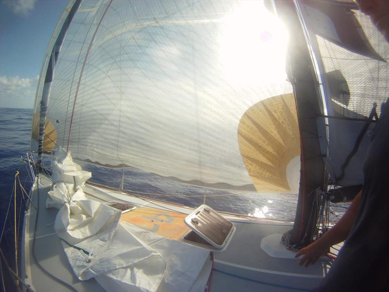 Light winds near the Saint Helena high photo copyright Global Solo Challenge taken at  and featuring the IMOCA class