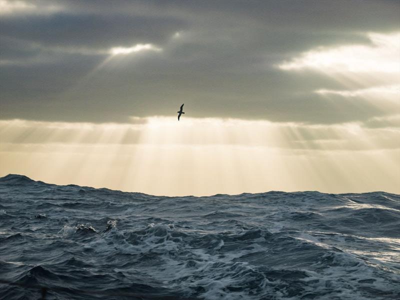 Team Malizia - The Ocean Race Leg 3 - photo © Antoine Auriol / Team Malizia