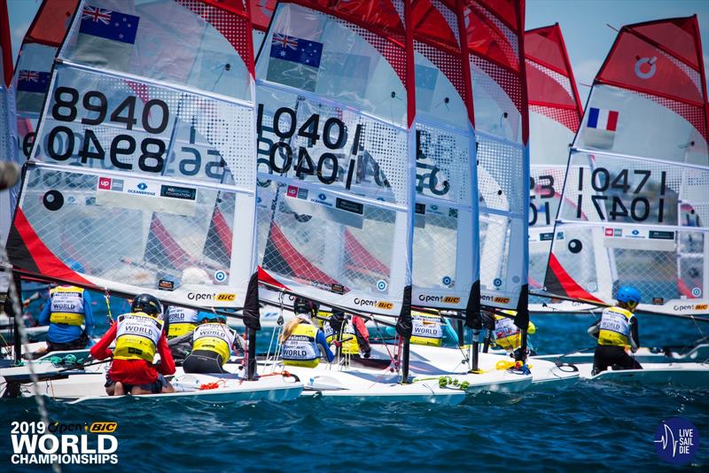 O'Pen Bic World Championships. Manly Sailing Club, New Zealand. Sunday 30 December. - photo © Suellen Davies