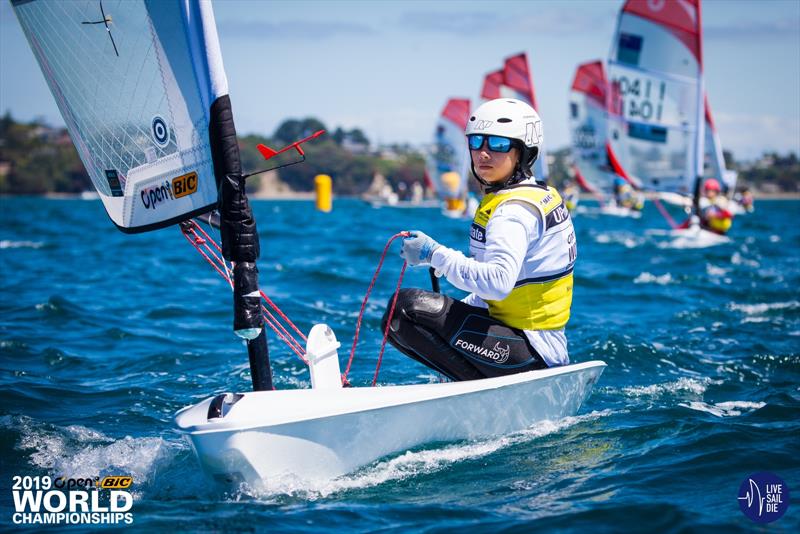 2018 O'Pen BIC World Championships - Manly SC, New Zealand - Day 3 photo copyright Suellen Davies taken at Manly Sailing Club and featuring the  class