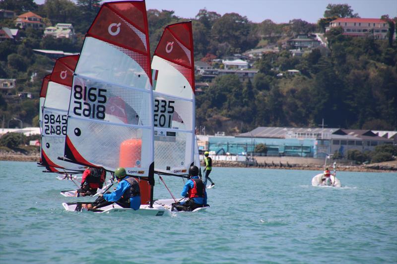 2020 Property Brokers NZ O'pen Skiff National Championships - Napier - January 2020 photo copyright Bob Sheldrake, Napier Sailing Club taken at Napier Sailing Club and featuring the O'pen Skiff class