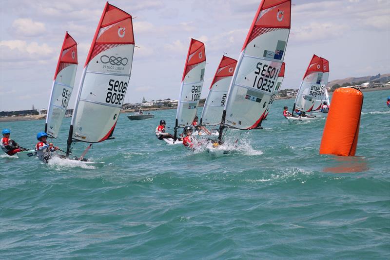 2020 Property Brokers NZ O'pen Skiff National Championships - Napier - January 2020 photo copyright Bob Sheldrake, Napier Sailing Club taken at Napier Sailing Club and featuring the O'pen Skiff class