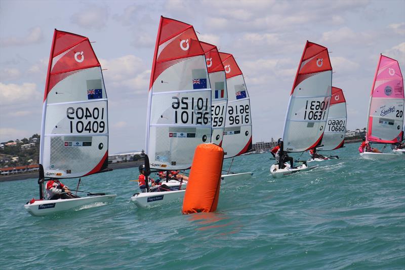 2020 Property Brokers NZ O'pen Skiff National Championships - Napier - January 2020 photo copyright Bob Sheldrake, Napier Sailing Club taken at Napier Sailing Club and featuring the O'pen Skiff class