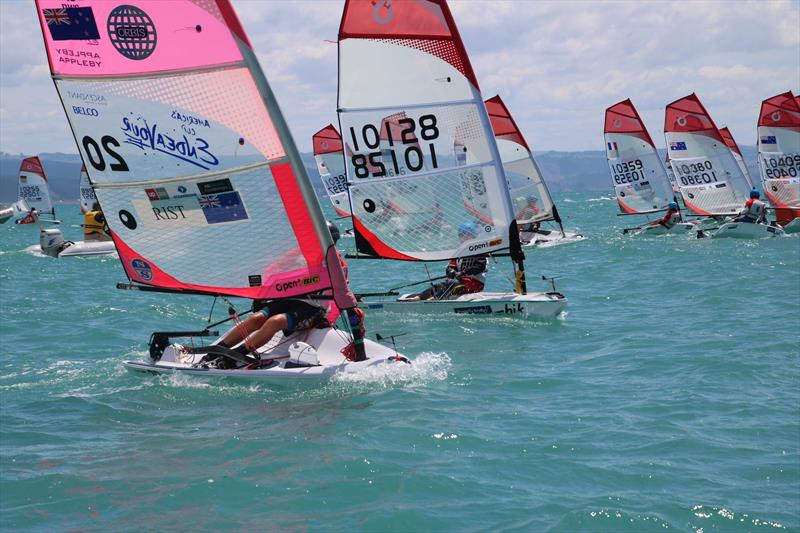 2020 Property Brokers NZ O'pen Skiff National Championships - Napier - January 2020 photo copyright Bob Sheldrake, Napier Sailing Club taken at Napier Sailing Club and featuring the O'pen Skiff class