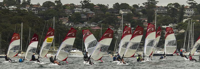 Juniors - 2021 Manly Cup O'pen Skiff Regatta  photo copyright Marg's Yacht Photos taken at Manly Yacht Club and featuring the O'pen Skiff class