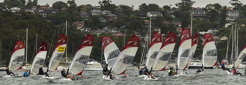 Juniors - 2021 Manly Cup O'pen Skiff Regatta  photo copyright Marg's Yacht Photos taken at Manly Yacht Club and featuring the O'pen Skiff class