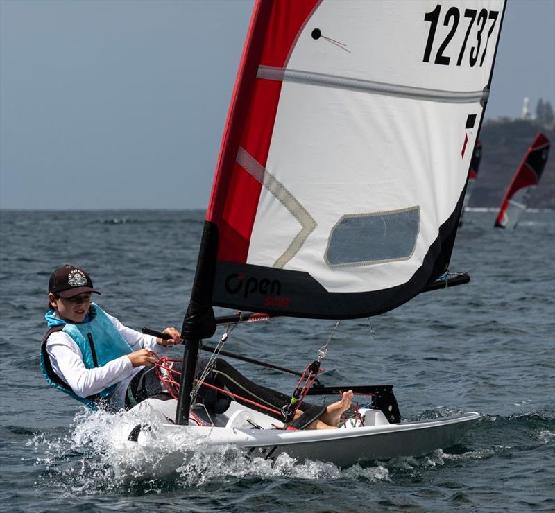 O'pen Skiff Manly Cup 2025 photo copyright Marg's Yacht Photos taken at Manly Yacht Club and featuring the O'pen Skiff class