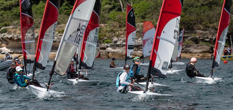 O'pen Skiff Manly Cup 2025 photo copyright Marg's Yacht Photos taken at Manly Yacht Club and featuring the O'pen Skiff class