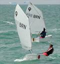 ODA Optimist Asian Championship 2014 day 1 © Jaffar Ali