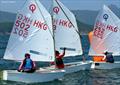 Optimists round the top mark - Open Dinghy Regatta, Day 1 © Fragrant Harbour