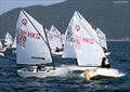 Optimists tussle on the line - 2020 Open Dinghy Regatta, Day 2 © Fragrant Harbour