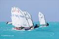 Bahamas Optimist National Championship © Jan Pehrson