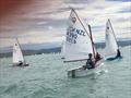 Heading for the race area on the Final Day - 2022 Combined Optimist and Starling NZ Championships - April 2022 - Napier Sailing Club © Wakatere BC