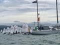 One of the Optimist fleets gets underway on the final day - 2022 Combined Optimist and Starling NZ Championships - April 2022 - Napier Sailing Club © Wakatere Boating Club