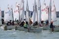 The competitors grouping up and getting ready for their next race - Raffles Marina Optimist Regatta 2022 © Raffles Marina