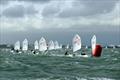 Optimist End of Seasons Championship in the Solent © Stephen Wright