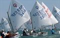 OptiOrange international Optimist class regatta, day 3 © Pep Portas / RCNV