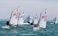 Magic Marine UK Optimist open meeting at Hayling Island - Main fleet © Ingrid Abery / www.ingridabery.com
