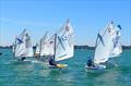 Start line - Optimist Red Ribbon Regatta at Hayling Island © Melvyn Cooper