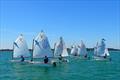 Upwind leg - Optimist Red Ribbon Regatta at Hayling Island © Melvyn Cooper