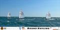 Magic Marine Optimist and Tera Round Hayling Race © Rachel Dobrijevic
