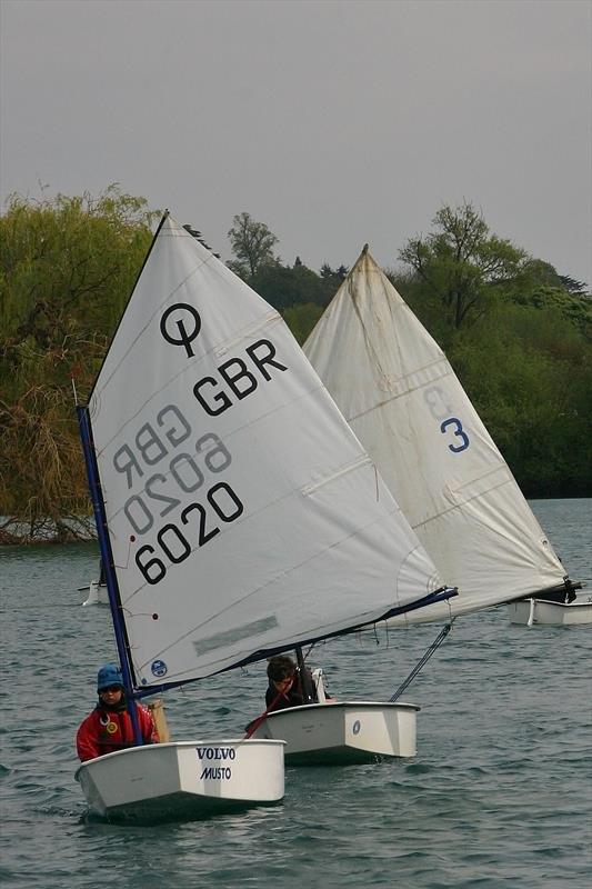 Optimists at Maidenhead photo copyright Jenni Heward-Craig taken at Maidenhead Sailing Club and featuring the Optimist class