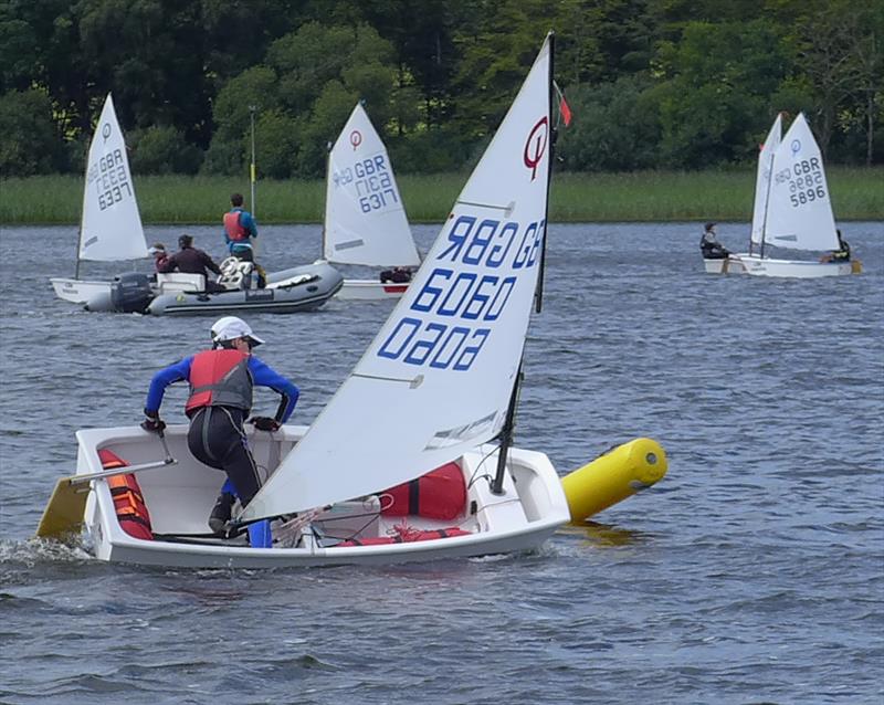 Scottish Optimist Travellers at Annandale photo copyright Stewart Mitchell taken at Annandale Sailing Club and featuring the Optimist class