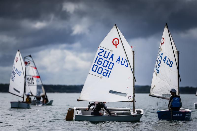 Junior fleet in between races during the Sail Port Stephens Junior Series - photo © Craig Greenhill / Saltwater Images