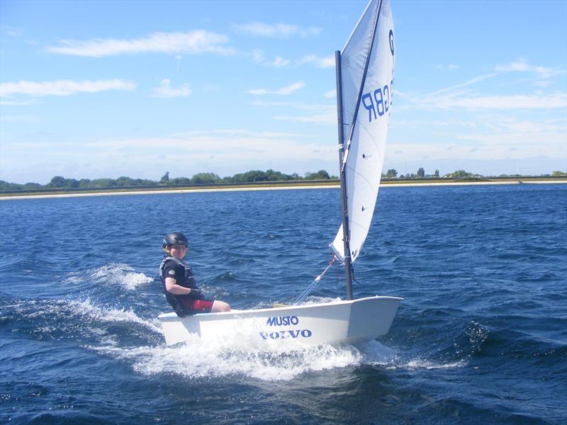 Schools Regatta at Island Barn Reservoir photo copyright Nick Marley taken at Island Barn Reservoir Sailing Club and featuring the Optimist class