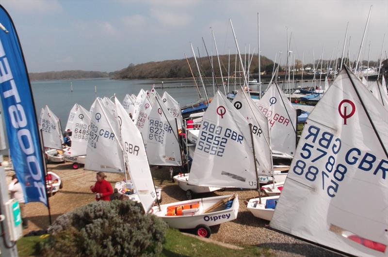 A record attendance for the Rooster Chichester Optimist Open photo copyright Brian Ayton taken at Chichester Yacht Club and featuring the Optimist class
