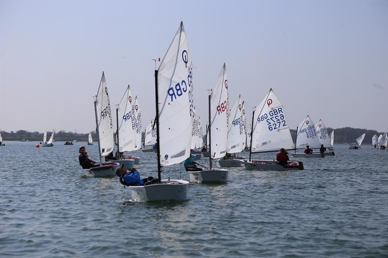 A record attendance for the Rooster Chichester Optimist Open photo copyright Brian Ayton taken at Chichester Yacht Club and featuring the Optimist class