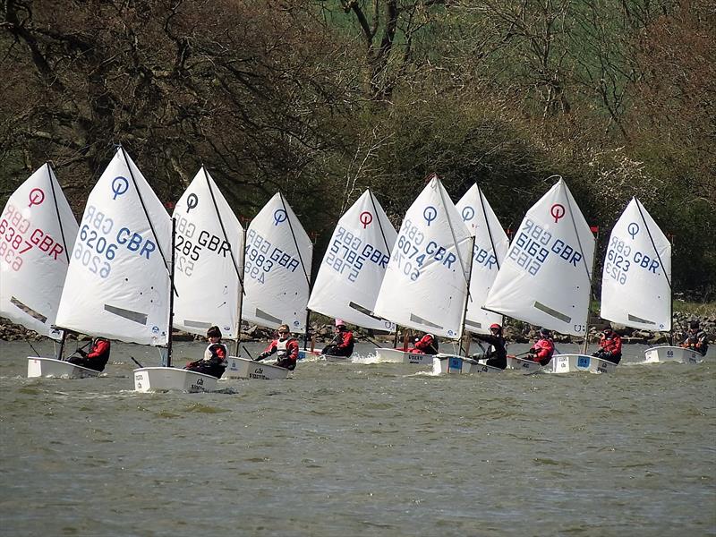 Optimist sailors will be competing at five events in the Midlands Travellers Series photo copyright Tim Matthews taken at Staunton Harold Sailing Club and featuring the Optimist class