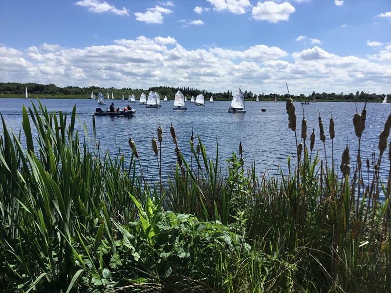 Bowmoor Optimist sailors in the fourth race of the day photo copyright Paula Irish taken at Bowmoor Sailing Club and featuring the Optimist class