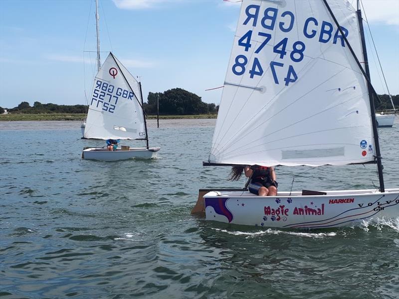 IOCA South Pre Nationals Training at Bosham photo copyright Andy Kerr taken at Bosham Sailing Club and featuring the Optimist class