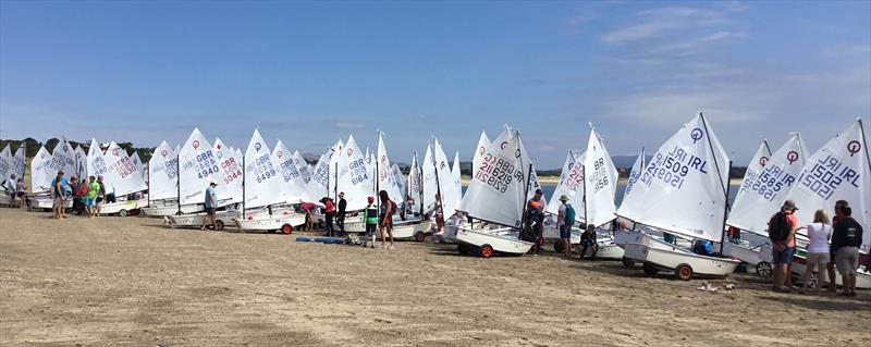 Getting set to launch at the Volvo Gill Optimist British Nationals photo copyright Paula Irish taken at Plas Heli Welsh National Sailing Academy and featuring the Optimist class