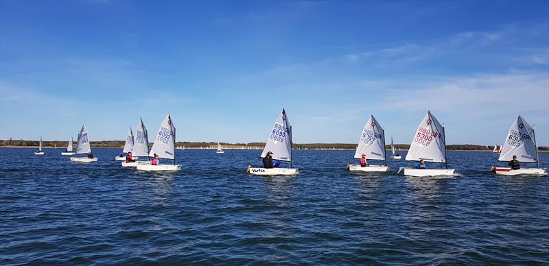 Optimists during the Regional Junior Championships at Grafham Water photo copyright Rob Haigh taken at Grafham Water Sailing Club and featuring the Optimist class