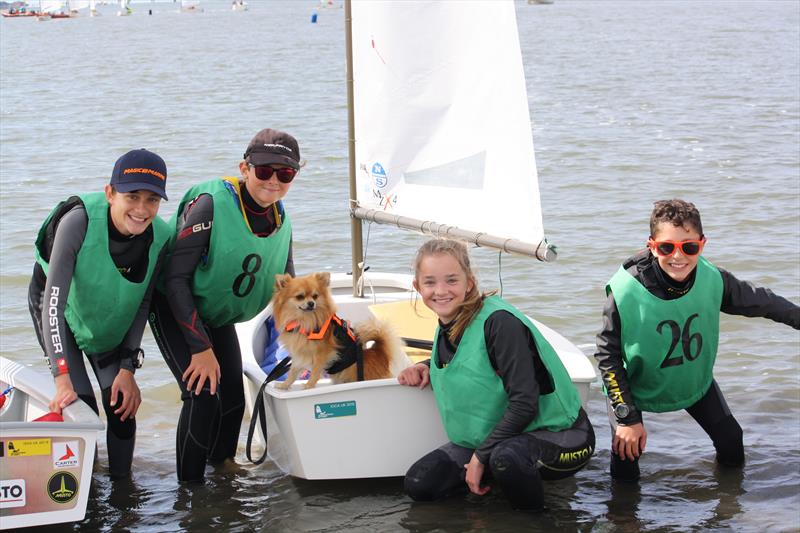 IOCA (UK) Random Pairs and 4 Boat Team Racing photo copyright IOCA (UK) taken at West Kirby Sailing Club and featuring the Optimist class