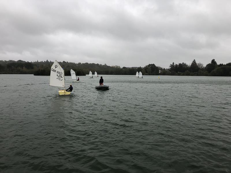 IOCA South Pre Zone Winter Training at Spinnaker photo copyright Roger Cerrato taken at Spinnaker Sailing Club and featuring the Optimist class